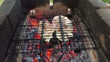 Açık ateşte kızarmış tavuk kanadı. Bahçede mangal partisi. Tavuk eti. Izgara et. Tavuk parçaları ateşte pişirilir. Lezzetli yemek..