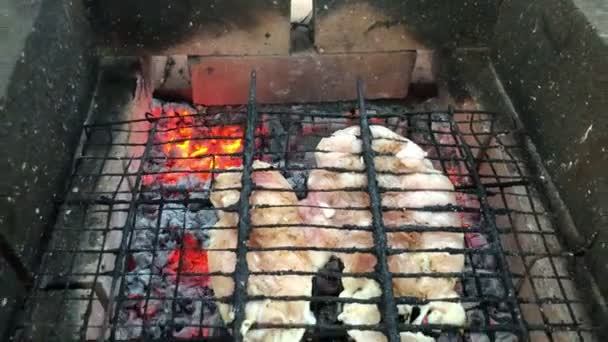 Жареные куриные крылышки на открытом огне уголь. Барбекю в саду. Куриное мясо. Мясо на гриле. Куриные кусочки готовятся на костре. Вкусная еда. — стоковое видео
