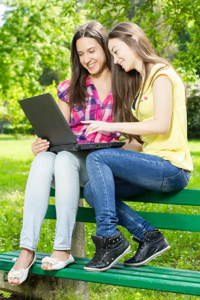 Smiling female students using laptop — Stock Photo, Image