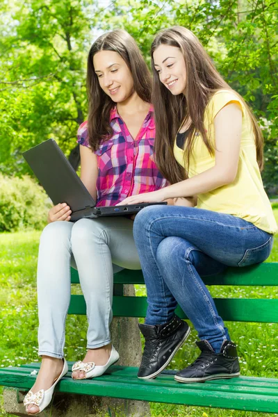 Smiling female students using laptop — Stock Photo, Image