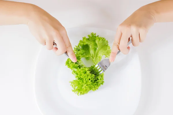 Gezonde voeding groene salade — Stockfoto