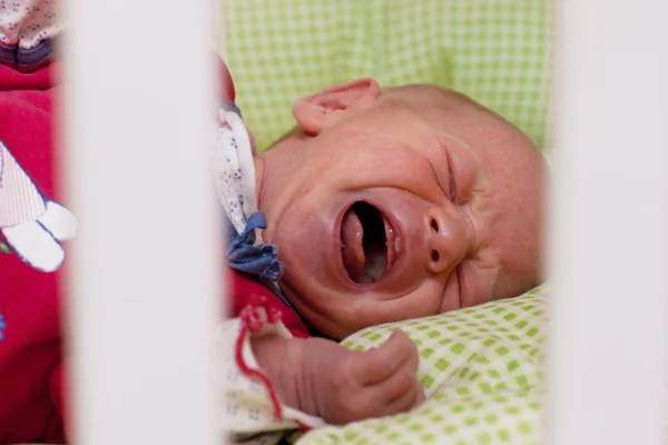 Bebé recién nacido llorando — Foto de Stock