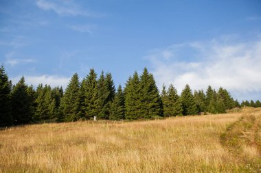 Yaz günü İdyllic dağ manzarası. Kopaonik dağının panoramik manzarası. Sırbistan.