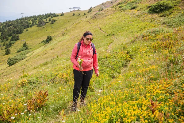 Femme Randonneuse Sur Dessus Vue Imprenable Sur Vallée Verte Forêt — Photo