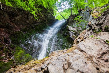 Yaz ormanlarındaki şelale manzarası, Jelovarnik şelaleleri, ulusal park Kopaonik, Sırbistan.
