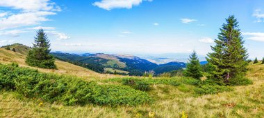 Resimli doğa, dağ manzarasının panoramik görüntüsü, yaz günü. Güzel gökyüzü. Kopaonik Dağı. Sırbistan. 
