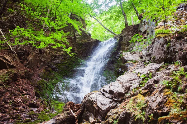 Csodálatos Kilátás Nyílik Vízesésre Nyári Erdőben Jelovarnik Vízesések Kopaonik Nemzeti — Stock Fotó
