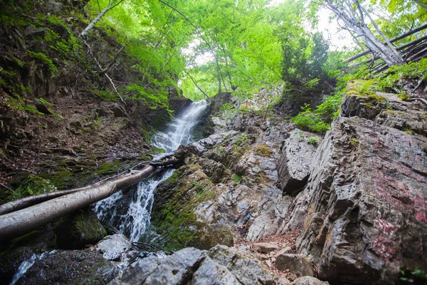 Vue Imprenable Sur Cascade Dans Forêt Été Les Cascades Jelovarnik — Photo