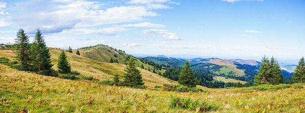 Живописный природный панорамный вид на горный ландшафт, летний день. Прекрасное небо. Гора Копаоник. Сербия. 