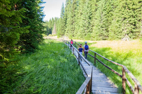 Children Walking Wooden Footpath Wetland Natural Reserve Summer Day — 스톡 사진