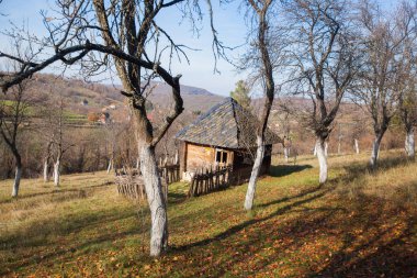 Geleneksel kırsal ahşap ev, güz ağaçları, kırsal doğa manzarası. Güzel güneşli sonbahar günü.