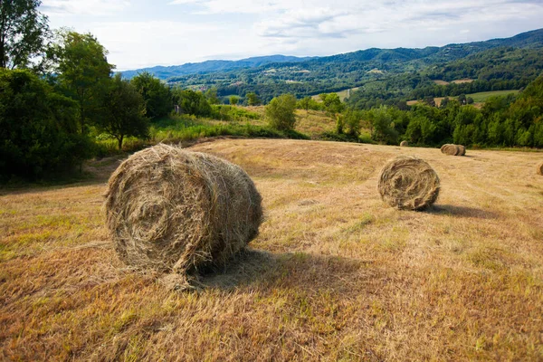 Landschaft Sommer Ackerland Naturlandschaft Goldener Runder Heuballen Auf Landwirtschaftlichen Weideflächen — Stockfoto