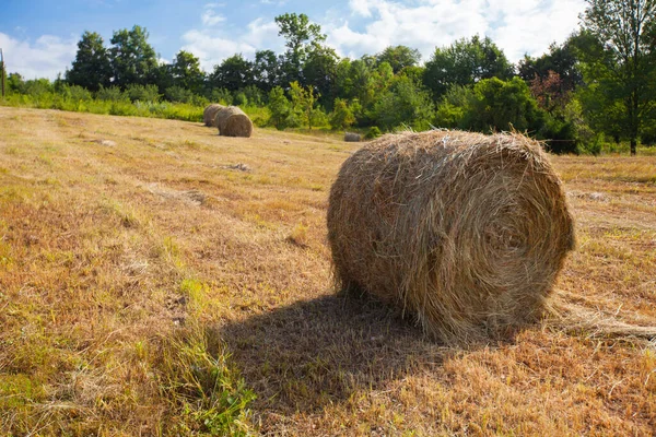 Countryside Summer Farmland Nature Landscape Golden Hay Bale Agriculture Farm — Stock Photo, Image