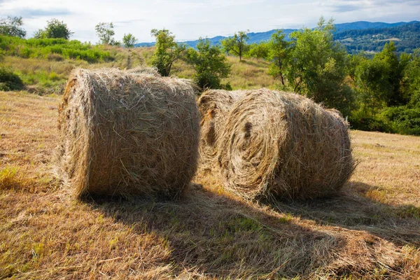 Countryside Summer Farmland Nature Landscape Golden Hay Bale Agriculture Farm — Stock Photo, Image