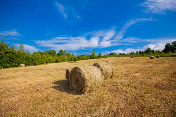 Countryside Summer Farmland Nature Landscape Golden Hay Bale Agriculture Farm — Stock Photo, Image