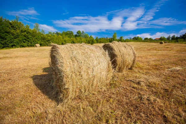 Landschaft Sommer Ackerland Naturlandschaft Goldener Runder Heuballen Auf Landwirtschaftlichen Weideflächen — Stockfoto