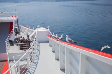 Seagulls on the ferryboat. Summer travel season. View on seascape, mountain landscape on the island of Thassos, Greece. Holiday concept.