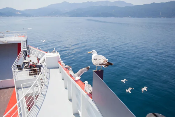 Seagulls on the ferryboat. Summer travel season. View on seascape, mountain landscape on the island of Thassos, Greece. Holiday concept.