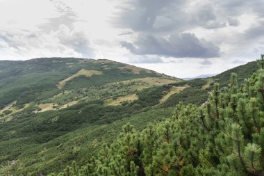 Chornohora ridge