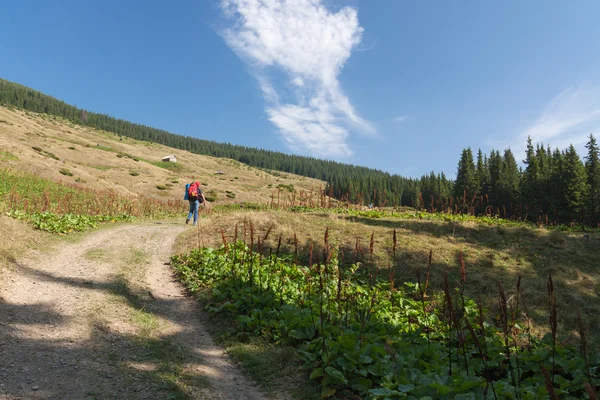 Chornohora-Kamm — Stockfoto