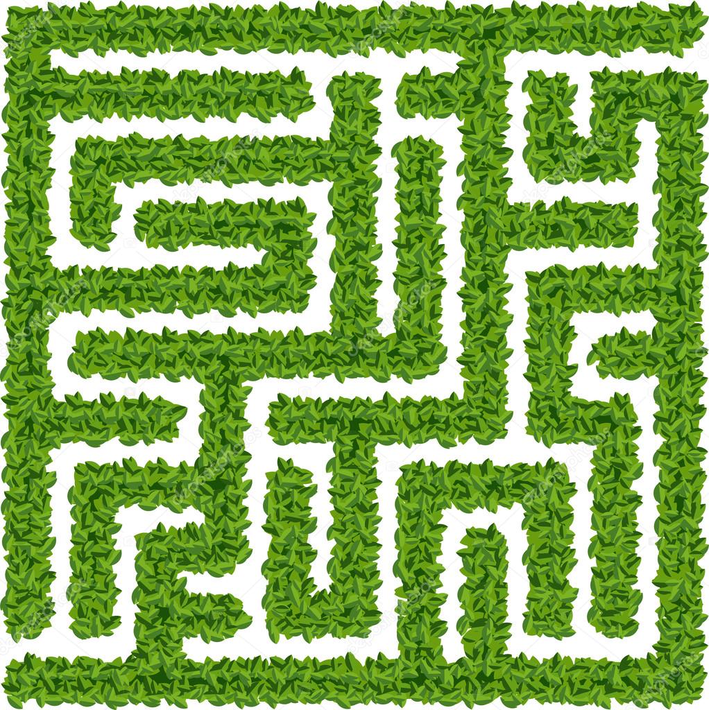 Bushes maze