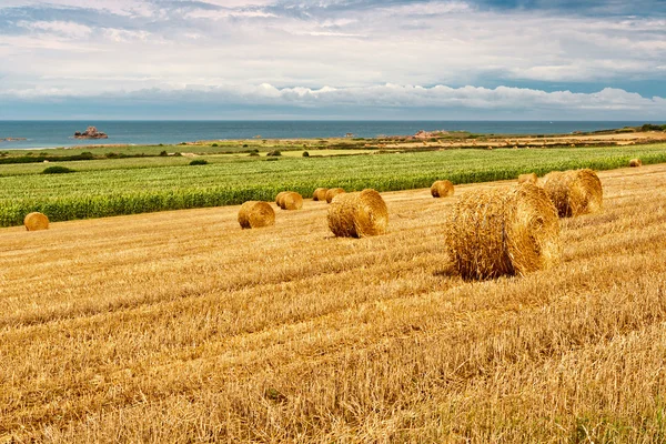Straw Bales near the Sea in Normandy, France — Stock Photo, Image