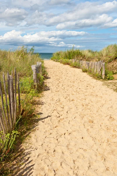 Caminho de areia para a praia — Fotografia de Stock