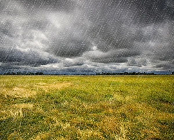 Pluie abondante sur une prairie en Bretagne, France — Photo