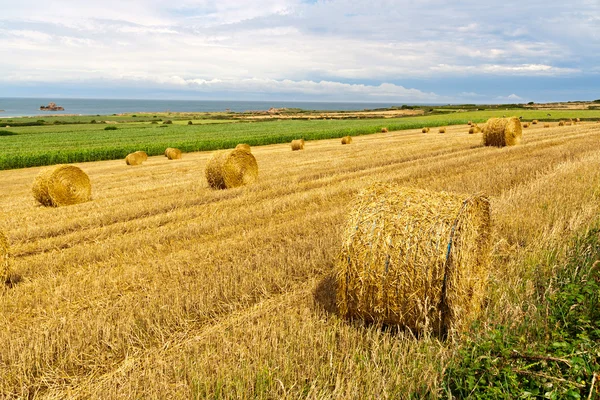 Straw Bales near the Sea in Normandy, France — Stock Photo, Image