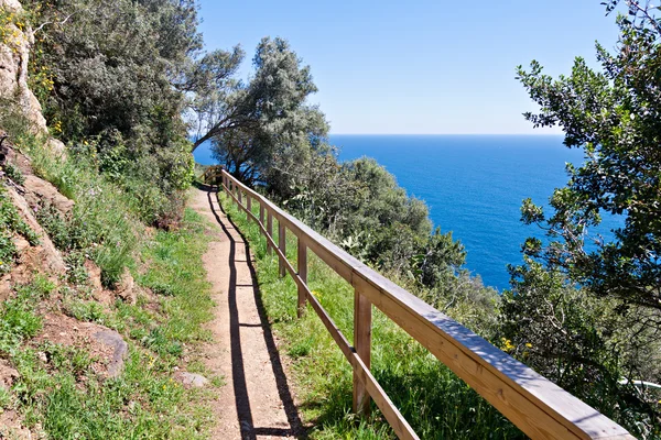 Route de la Costa Brava en suivant le bord de la mer — Photo