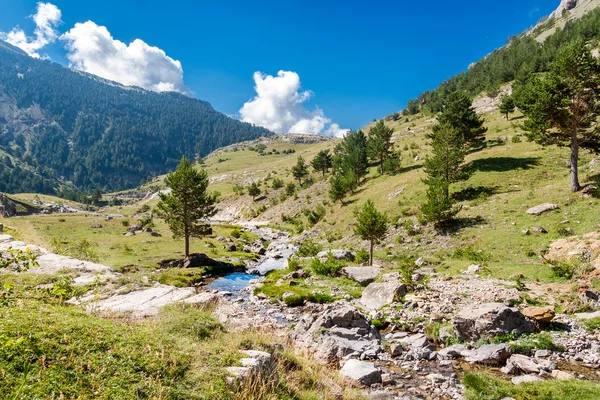 Schöne Landschaft mit Gebirgsfluss in den spanischen Pyrenäen — Stockfoto