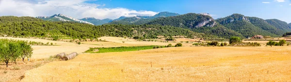 Haver velden met poorten de besseit bergen op de achtergrond — Stockfoto