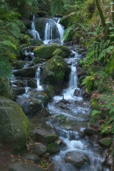 Wasserfall Bei Fraga Eume Galicien Spanien — Stockfoto
