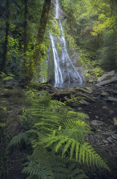Floresta Profunda Cachoeira Galicoa Espanha — Fotografia de Stock