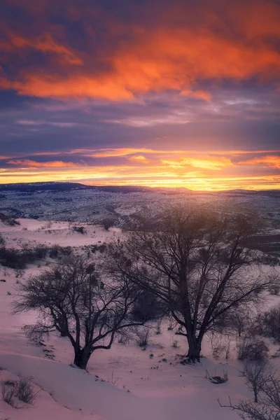 Прекрасний Зимовий Захід Сніжному Ландшафті — стокове фото