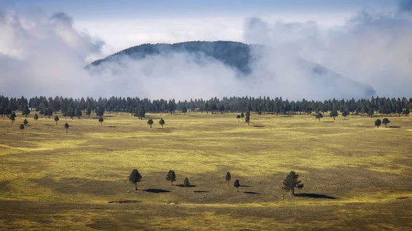 Misty Mountain Landskap Vid Port Del Comte Mountain Range Pre — Stockfoto