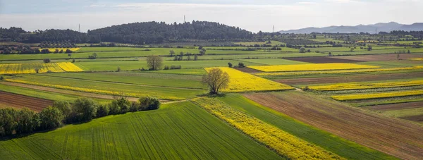 Campos Cultivo Baix Emporda Cataluña — Foto de Stock