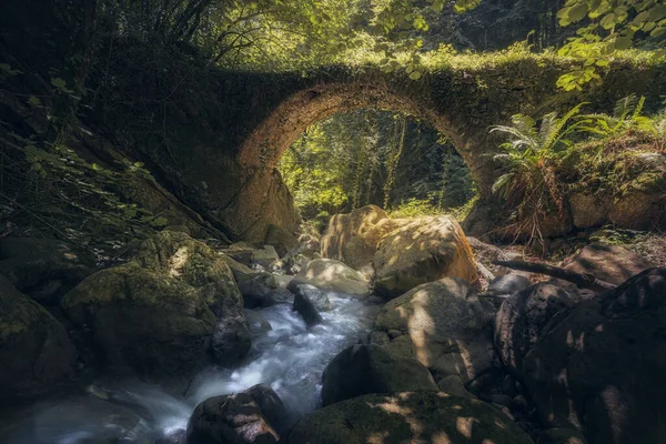 Казковий Ліс Чарівним Кам Яним Мостом — стокове фото