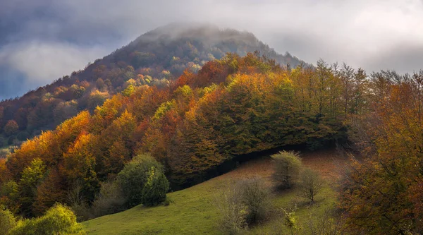 Beautiful Autumn Foggy Landscape Garrotxa Catalonia — Foto Stock