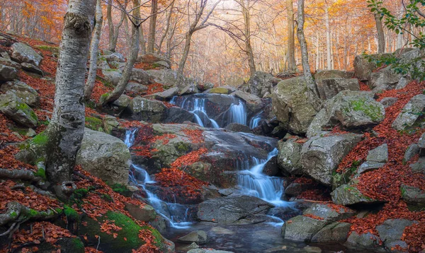 Όμορφος Καταρράκτης Στο Φυσικό Πάρκο Montseny Της Καταλονίας — Φωτογραφία Αρχείου