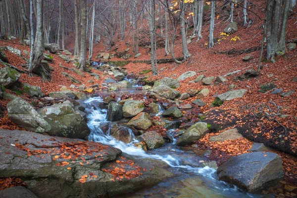 Creek Montseny Natural Park Catalonia — Fotografia de Stock