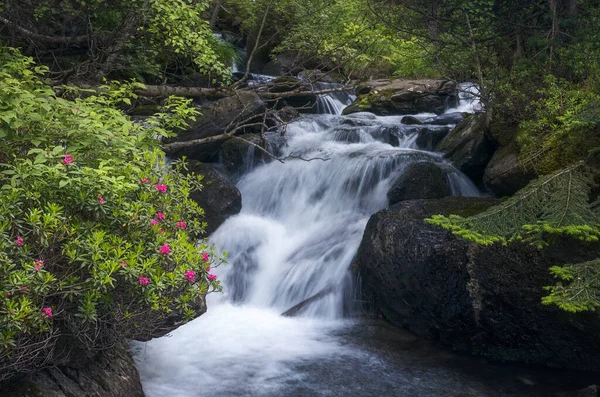 Καταρράκτης Στο Πάρκο Vall Sorteny Naturtal Ανδόρα — Φωτογραφία Αρχείου