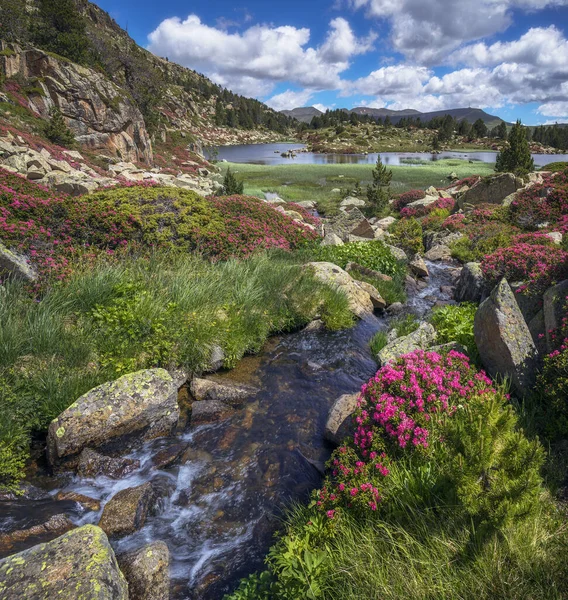 Hermoso Paisaje Del Lago Estanys Pessons Primavera Andorra — Foto de Stock