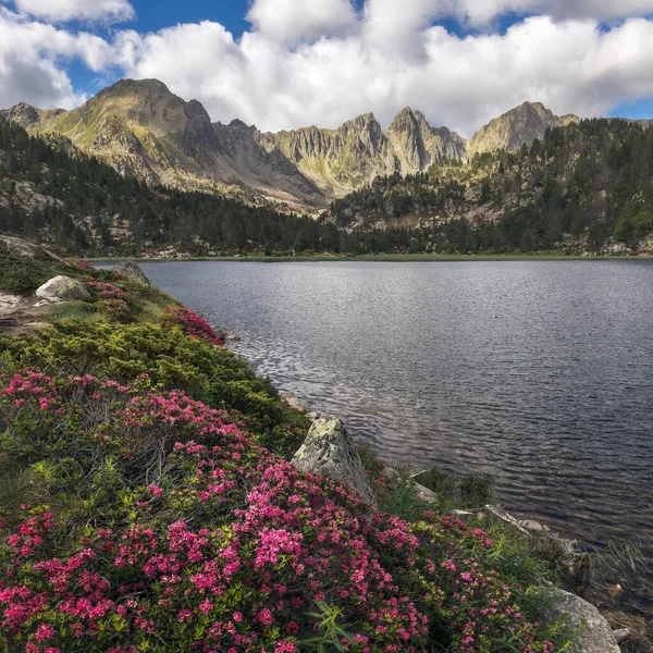 Beautiful Lake Landscape Estanys Pessons Spring Andorra — стокове фото