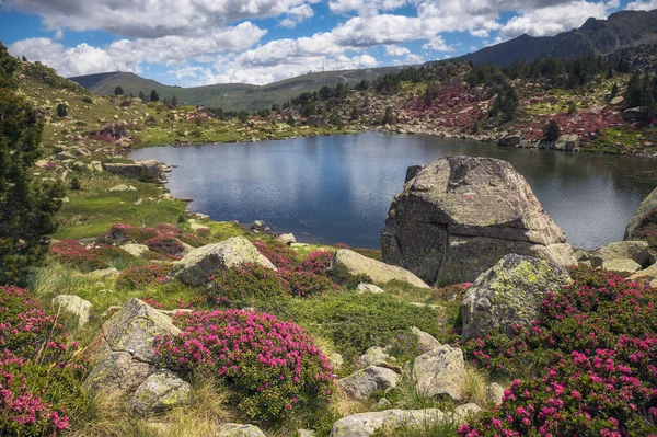 Hermoso Paisaje Del Lago Estanys Pessons Primavera Andorra —  Fotos de Stock