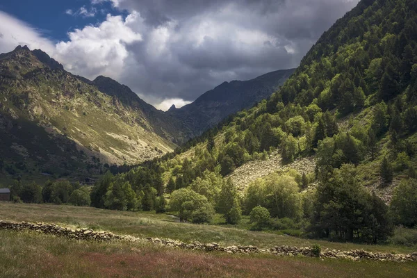 Landskap Panoramautsikt Över Vall Incles Andorra — Stockfoto