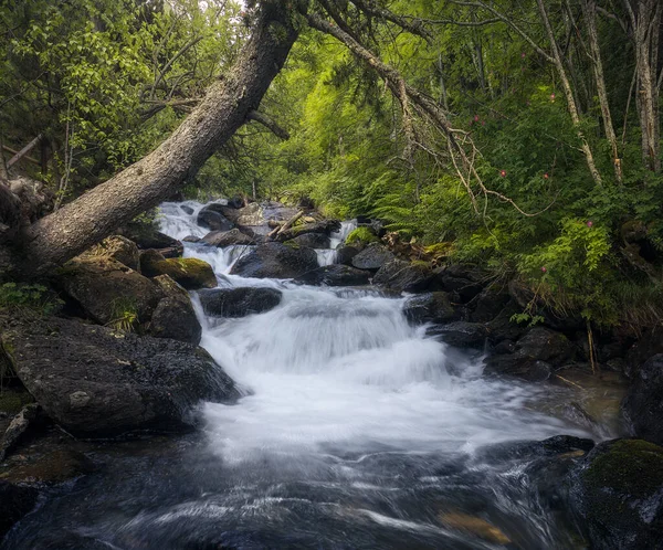 Vodopád Vall Sorteny Naturtal Park Andorra — Stock fotografie