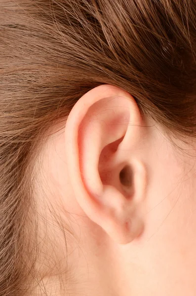 Kadın kulak — Stok fotoğraf