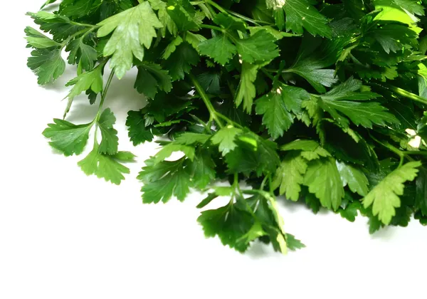 Parsley — Stock Photo, Image