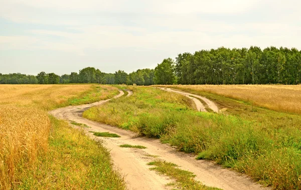 Zwei Straßen — Stockfoto